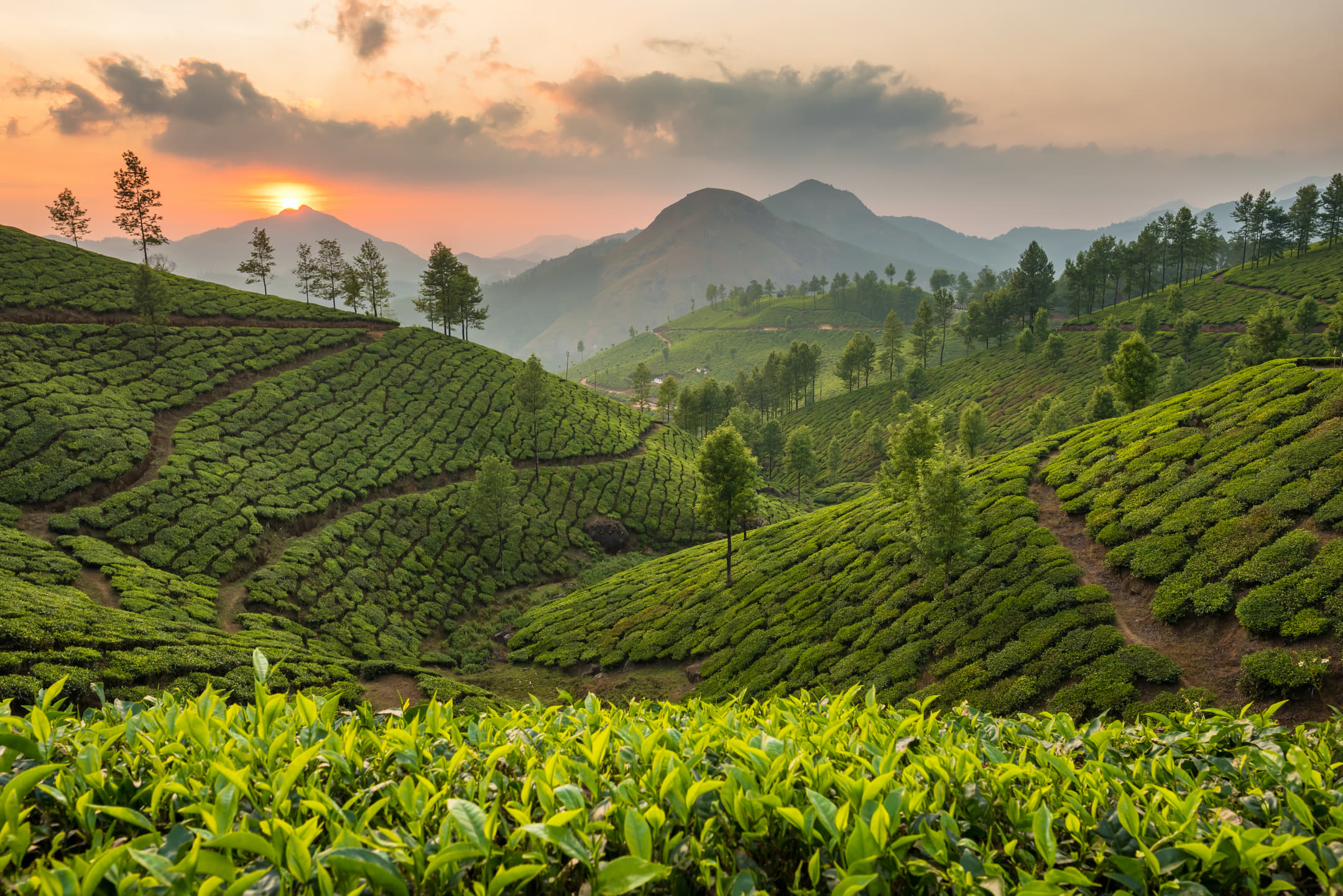 India