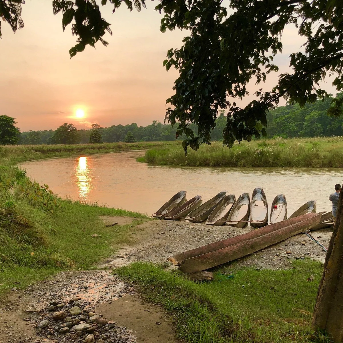 Pokhara to Chitwan — day photo