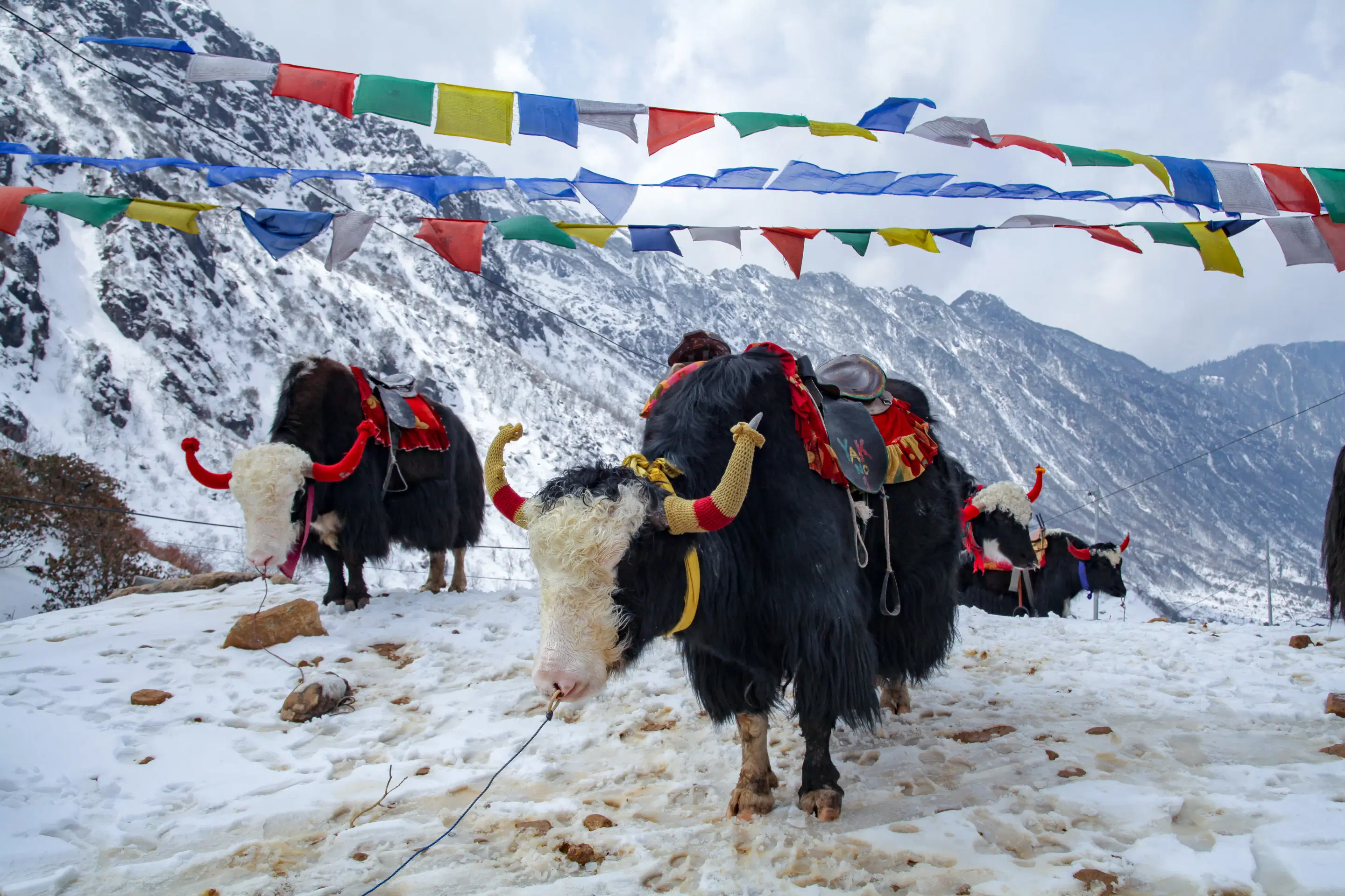 Everest Base Camp Trek